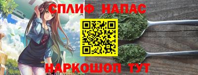 индика Краснознаменск