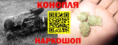 индика Краснознаменск