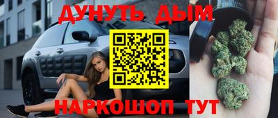 индика Краснознаменск