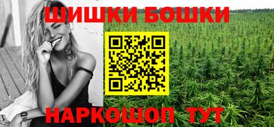 индика Краснознаменск