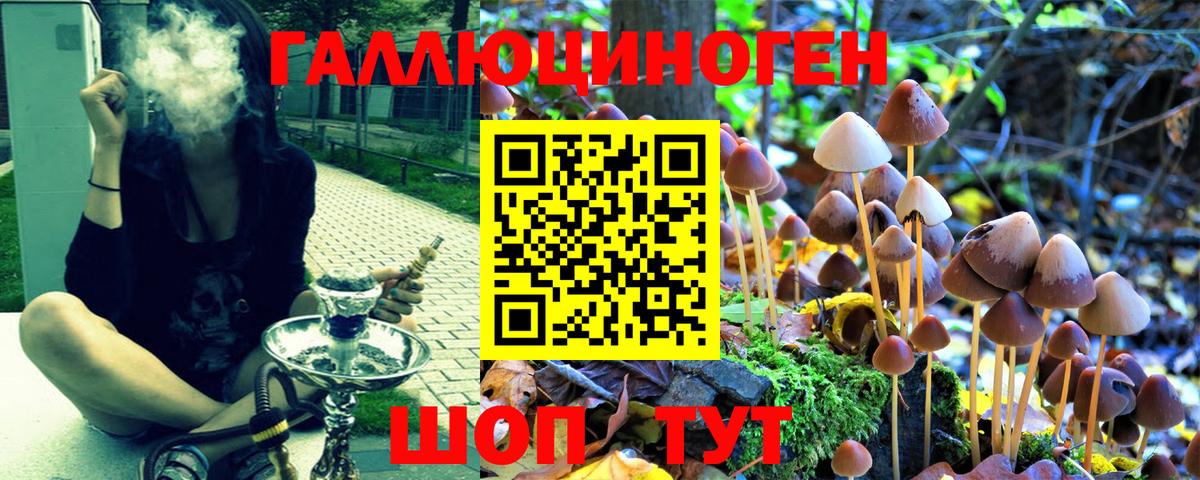 Армавир  дарнет шоп  Галлюциногенные грибы MAGIC MUSHROOMS  Вход с VPN  Галлюциногенные грибы Psilocybe 